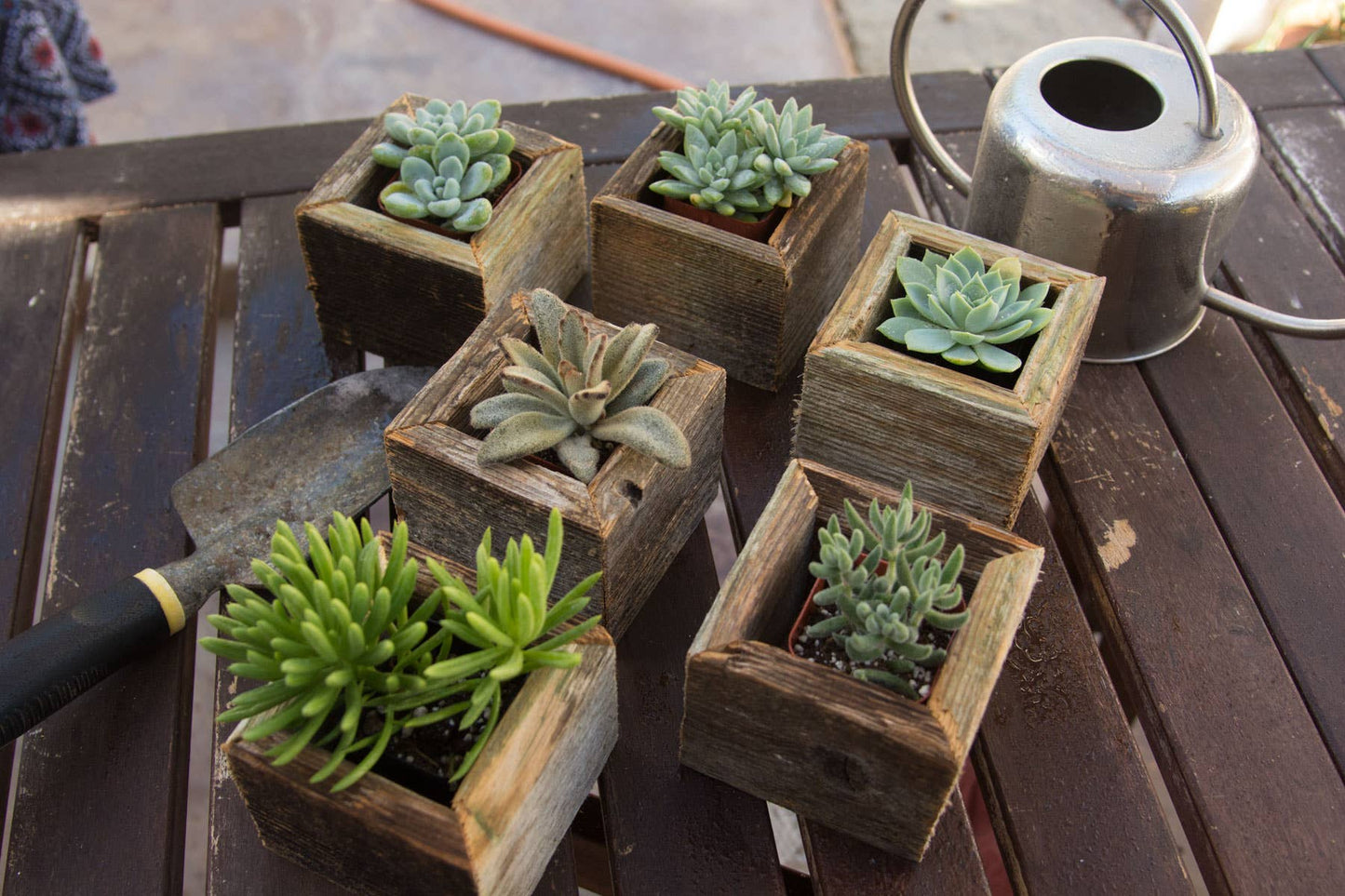 Reclaimed Wood Mini Farm Animal Planters / Favor Boxes