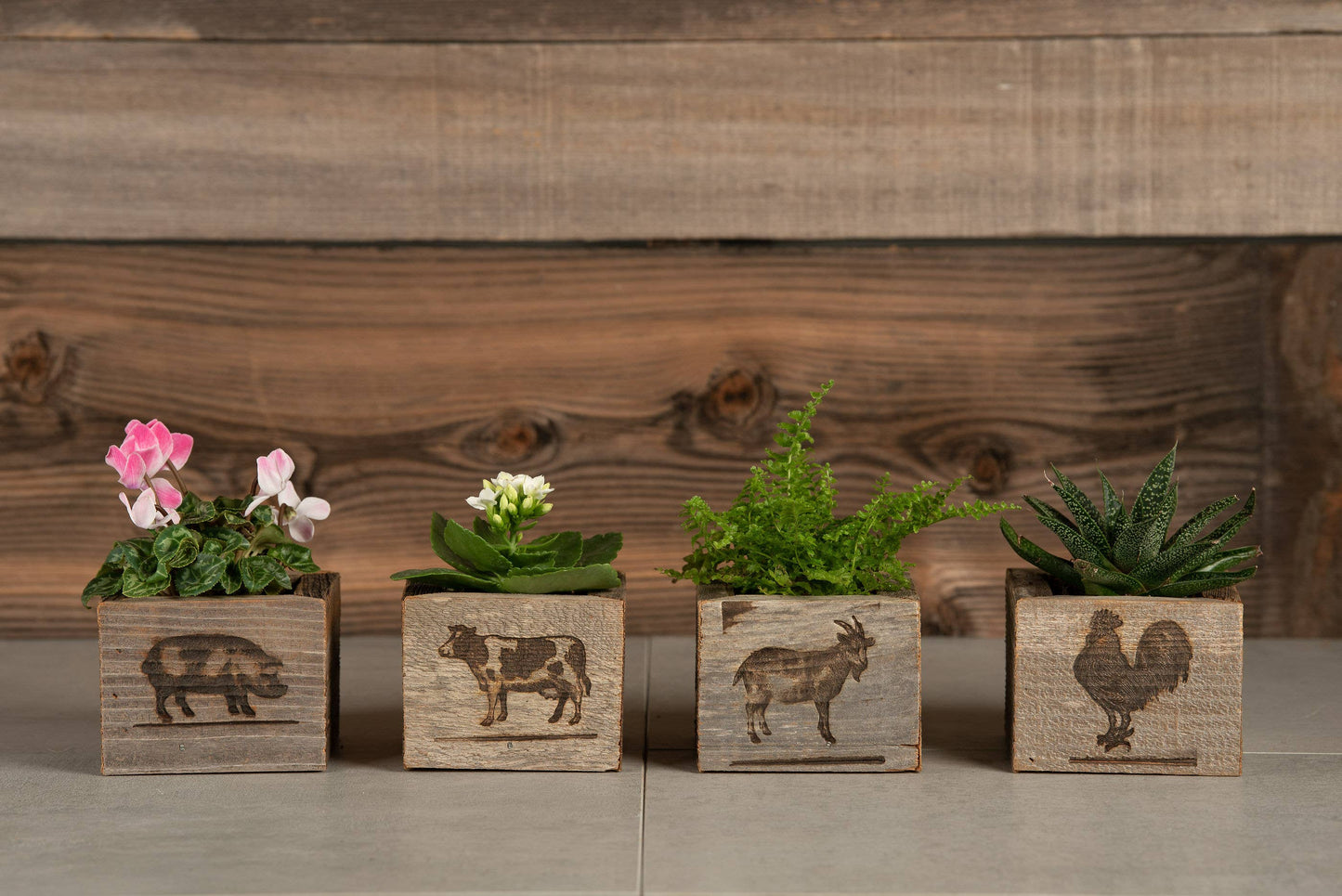 Reclaimed Wood Mini Farm Animal Planters / Favor Boxes